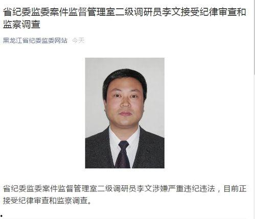 李文最新爆料新闻视频,揭秘事件背后惊人真相